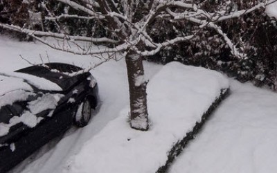 Mietrecht Winterdienst Rechtsanwalt Trier